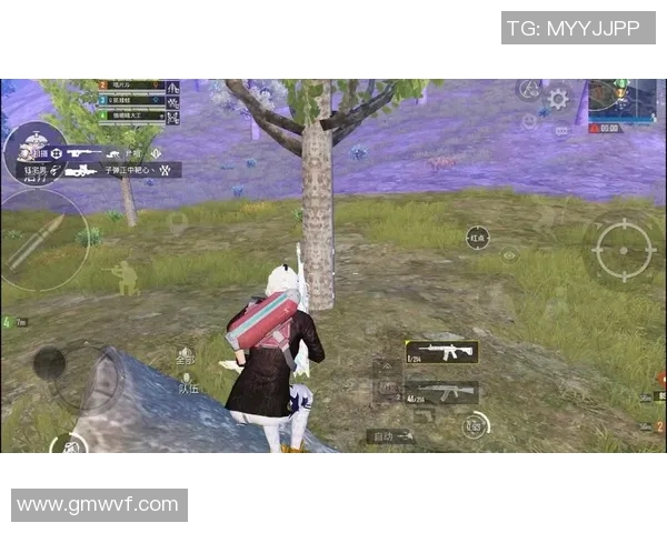 刘娜专访：从初出茅庐到和平精英巅峰的成长之路