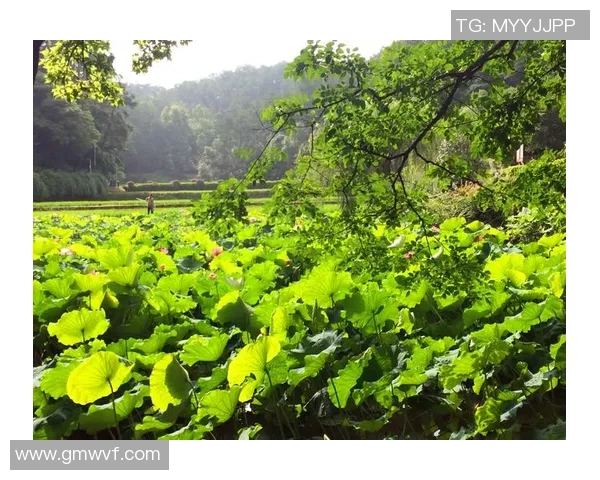 深度对话:刘敏如何在DOTA2世界中追寻梦想与成长 深度对话:刘敏如何在DOTA2世界中追寻梦想与成长